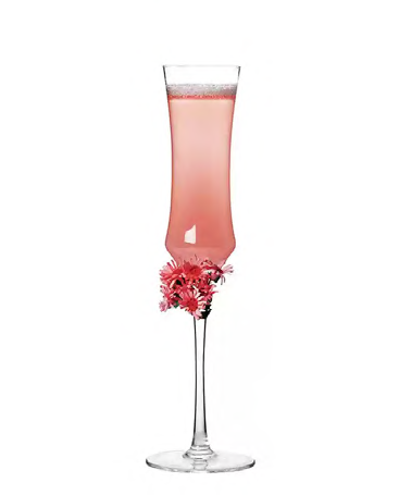 SNCOCK115 cocktail glass