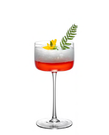 SNCOCK067 cocktail glass