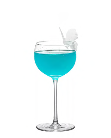 SNCOCK054 cocktail glass