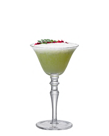SNCOCK089 cocktail glass