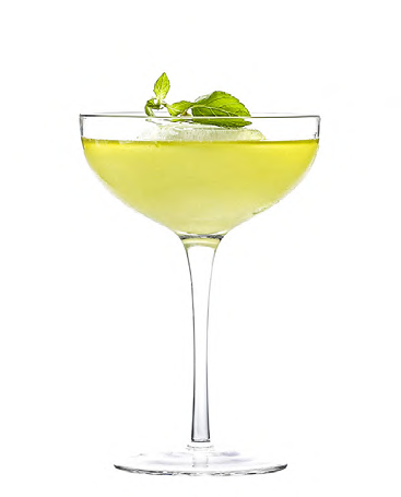 SNCOCK044 cocktail glass