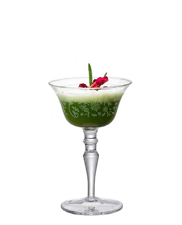 SNCOCK088 cocktail glass
