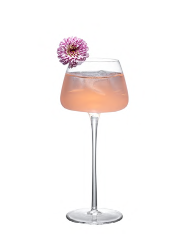 SNCOCK126 cocktail glass