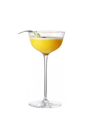 SNCOCK073 cocktail glass