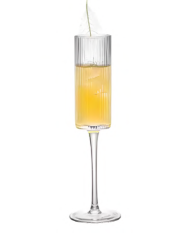 SNCOCK113 cocktail glass