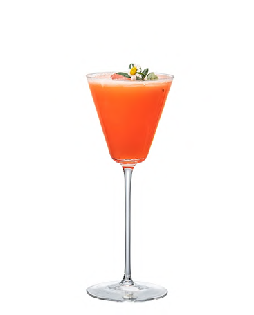 SNCOCK086 cocktail glass