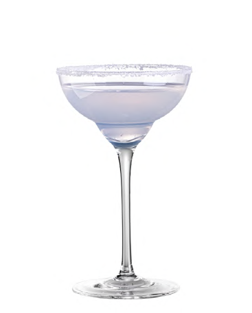 SNCOCK031 cocktail glass