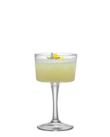 SNCOCK060 cocktail glass