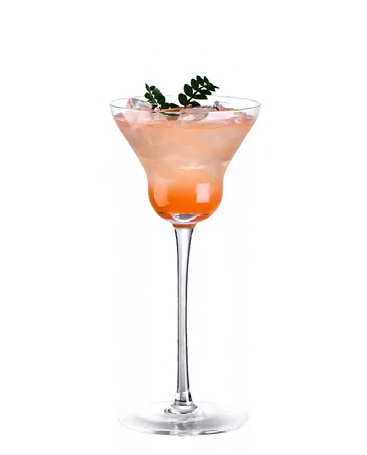 SNCOCK097 cocktail glass