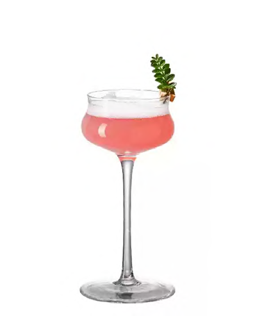 SNCOCK076 cocktail glass