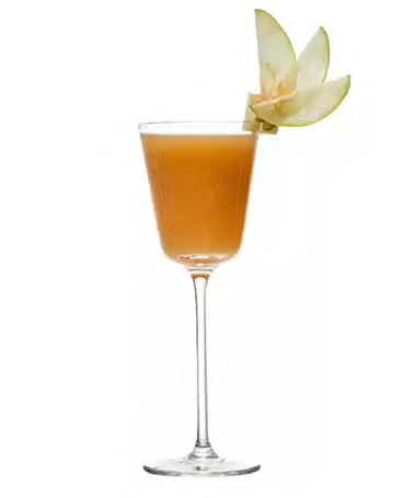 SNCOCK081 cocktail glass