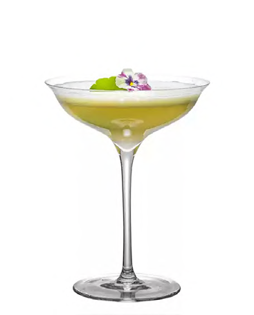 SNCOCK012 cocktail glass
