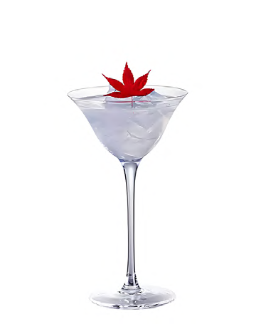 SNCOCK006 martini cocktail glass