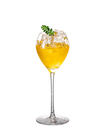 SNCOCK102 cocktail glass