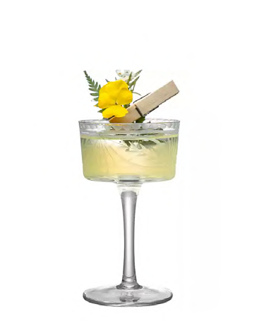 SNCOCK065 cocktail glass