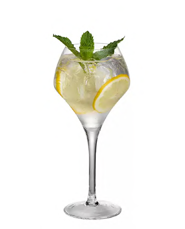 SNCOCK107 cocktail glass
