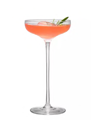 SNCOCK013 cocktail glass