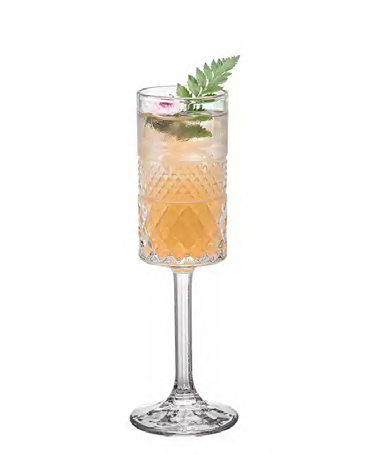 SNCOCK058 cocktail glass