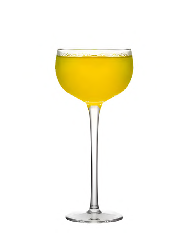 SNCOCK033 cocktail glass