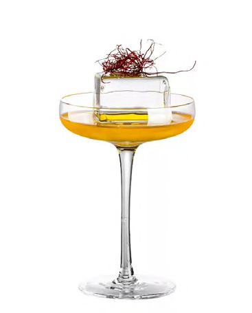 SNCOCK039 cocktail glass