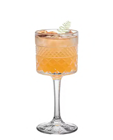 SNCOCK057 cocktail glass