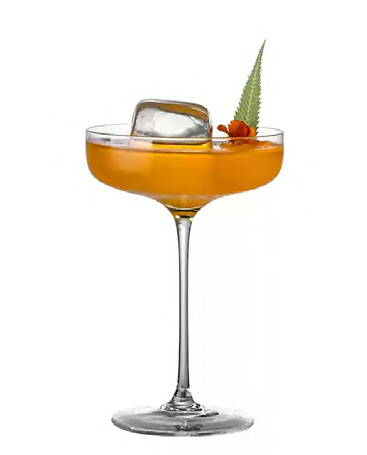 SNCOCK040 cocktail glass