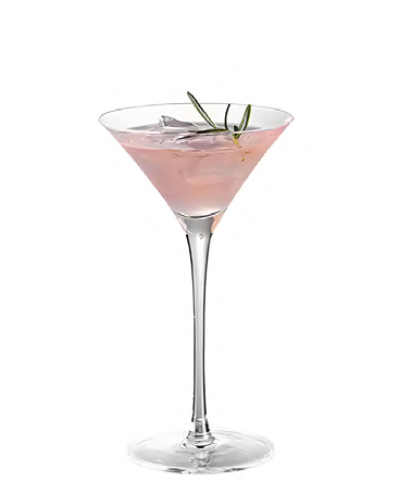 SNCOCK005 martini cocktail glass