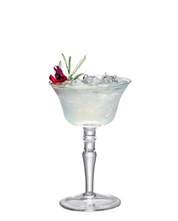 SNCOCK087 cocktail glass