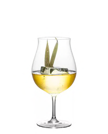SNCOCK103 cocktail glass