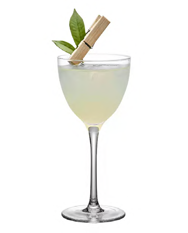 SNCOCK053 cocktail glass