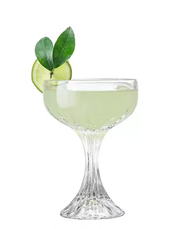 SNCOCK035 cocktail glass
