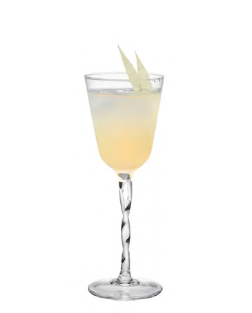 SNCOCK080 cocktail glass