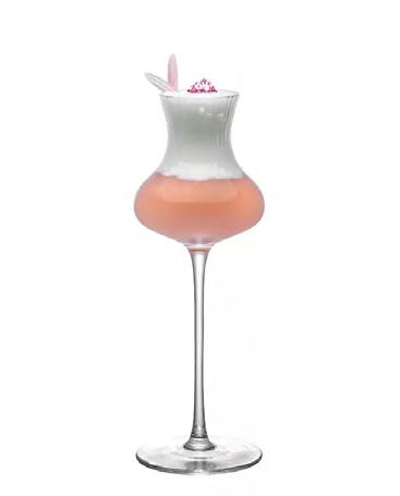 SNCOCK117 cocktail glass