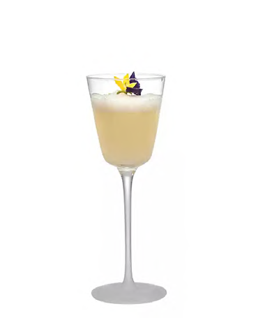 SNCOCK085 cocktail glass
