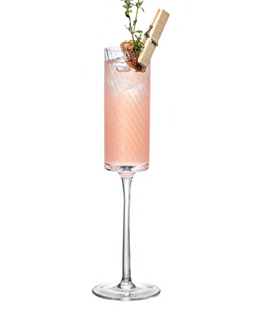 SNCOCK112 cocktail glass