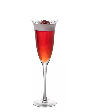 SNCOCK123 cocktail glass