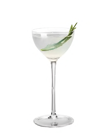 SNCOCK034 cocktail glass