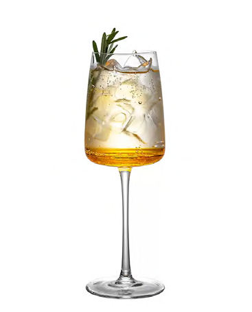 SNCOCK119 cocktail glass