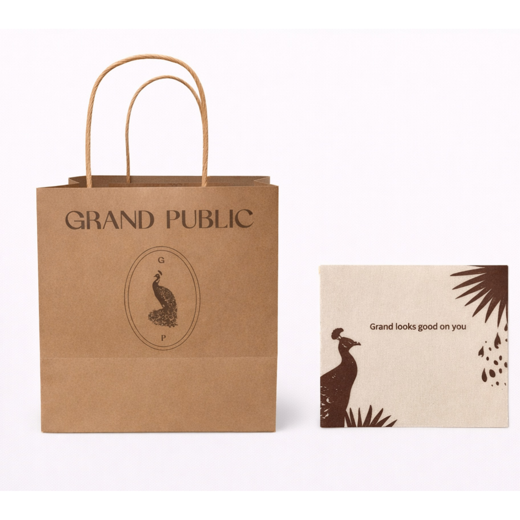 Kraft Bag &amp; Disposable Napkin Set