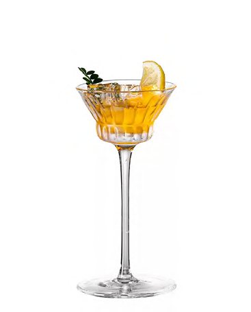 SNCOCK083 cocktail glass