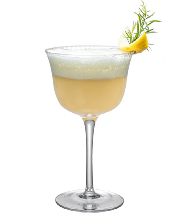 SNCOCK090 cocktail glass