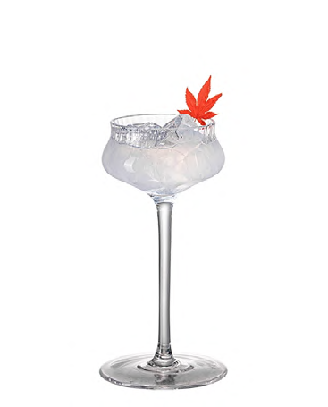 SNCOCK077 cocktail glass