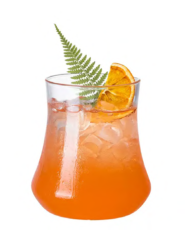 SNCOCK196 cocktail glass