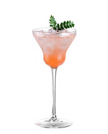 SNCOCK098 cocktail glass