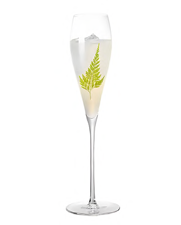 SNCOCK091 cocktail glass