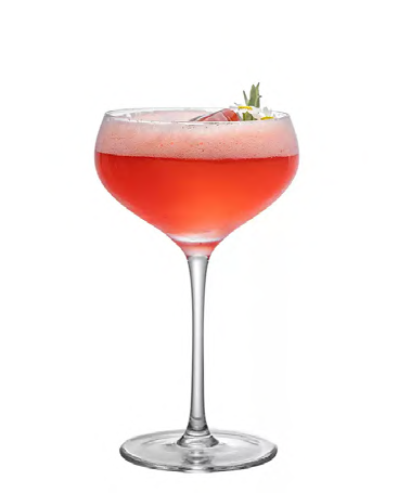 SNCOCK047 cocktail glass