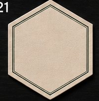 Hexagon Coaster, Double Green Border