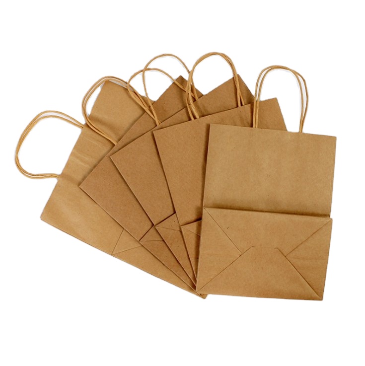 Kraft Brown Paper Bags with Twisted Handles Set of Five