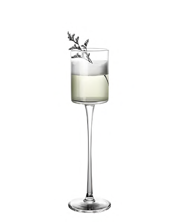 SNCOCK068 cocktail glass