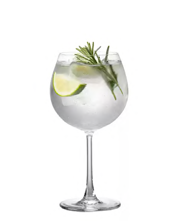 SNCOCK121 cocktail glass